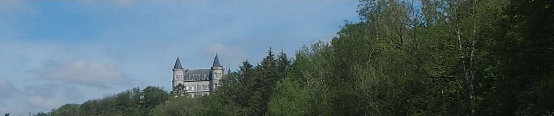 Punto di interesse Rochefort - View of Ciergnon castle - Photo