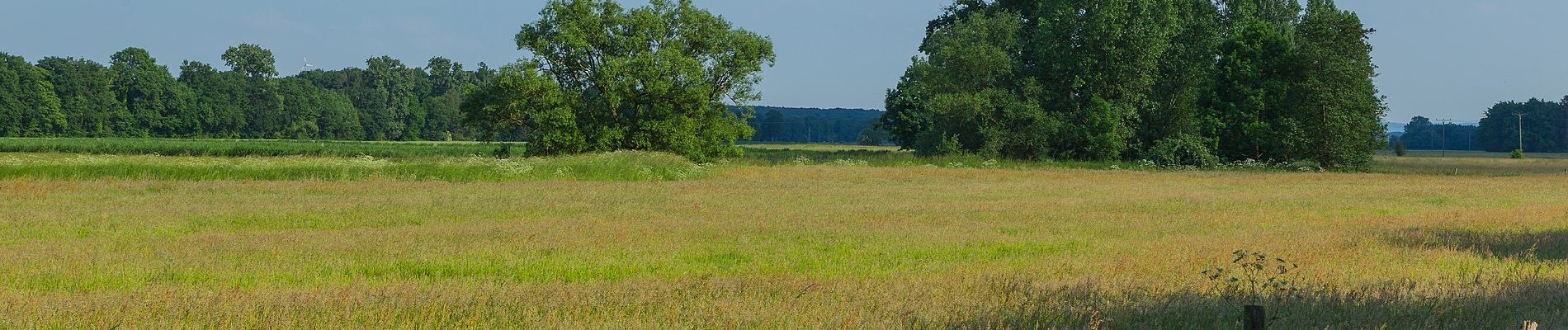 Tocht Te voet Wallenhorst - Hollager Rundwanderweg Nr.2 - Photo