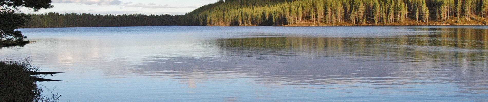 Tour Zu Fuß Suomussalmi - Huosiuksen Huikoinen - Photo