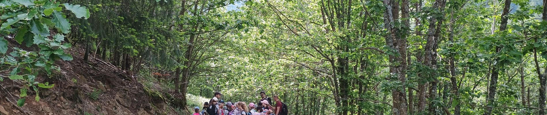 Randonnée Marche Wegscheid - Sortie école primaire - Rossberg - Photo