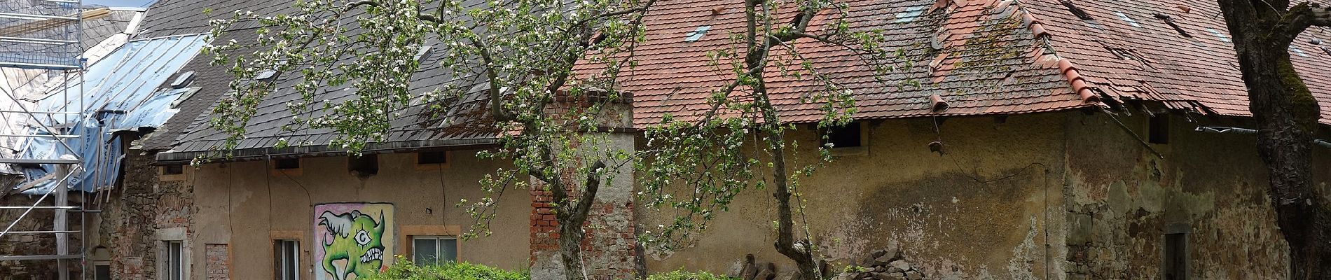 Percorso A piedi Dippoldiswalde - Schloss Naundorf - Pöbeltal - Photo