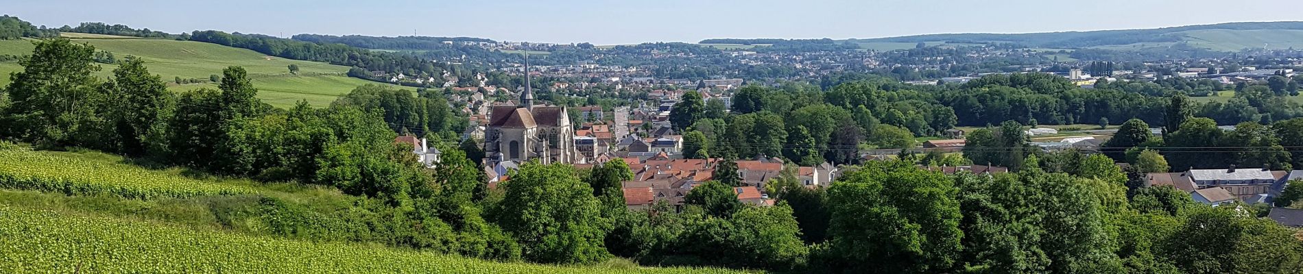 Excursión Senderismo Château-Thierry - Château - Aulnois - Château du 26/05/2020 - Photo