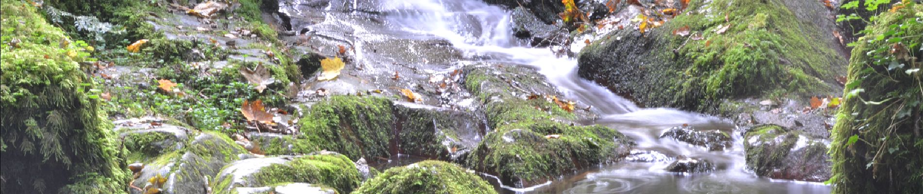 Trail Walking Ceyrat - Ceyrat_Gorges_Artiere - Photo