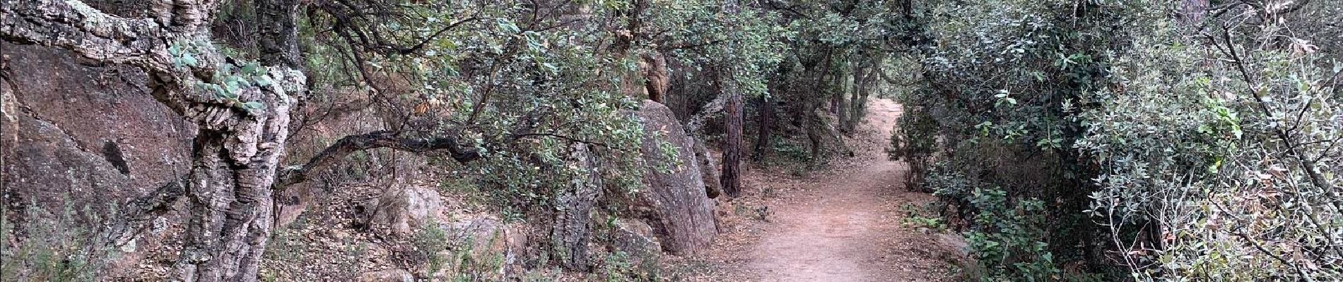 Excursión Senderismo Tossa de Mar - Wikiloc - GR 92- Catalunya - J2 - Tossa de Mar - Sant Feliu de Guixols - Photo