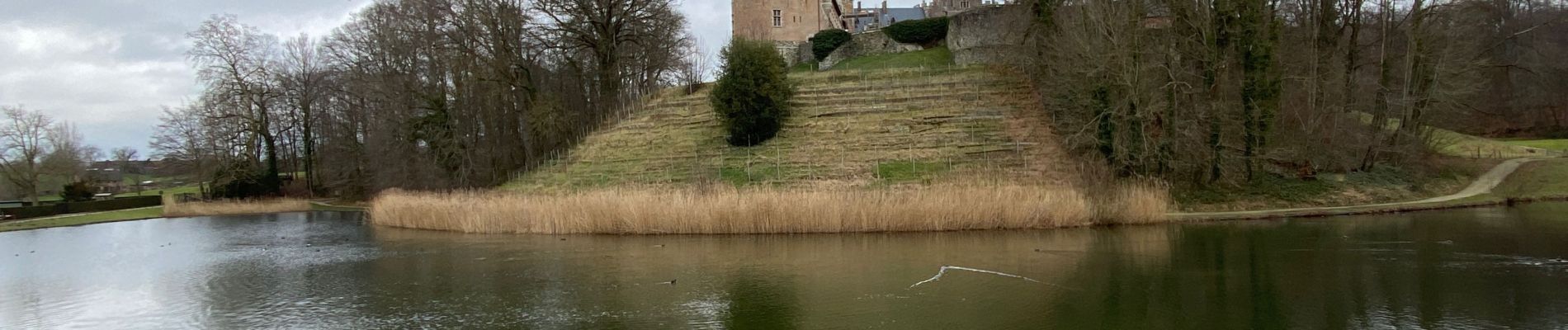 Trail Walking Lennik - Autour de Gaasbeek  - Photo