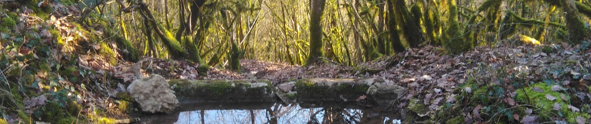 Excursión Senderismo Premeaux-Prissey - Prémeaux-Prissey Combe Saumaise, source de Fontenoie - Photo