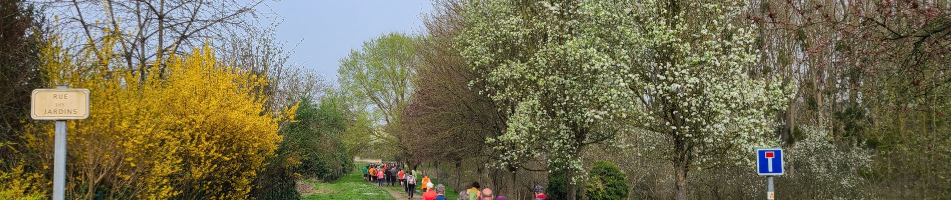 Trail Walking Bourg-et-Comin - Bourg et Comin après-midi du 21-03-2024 - Photo