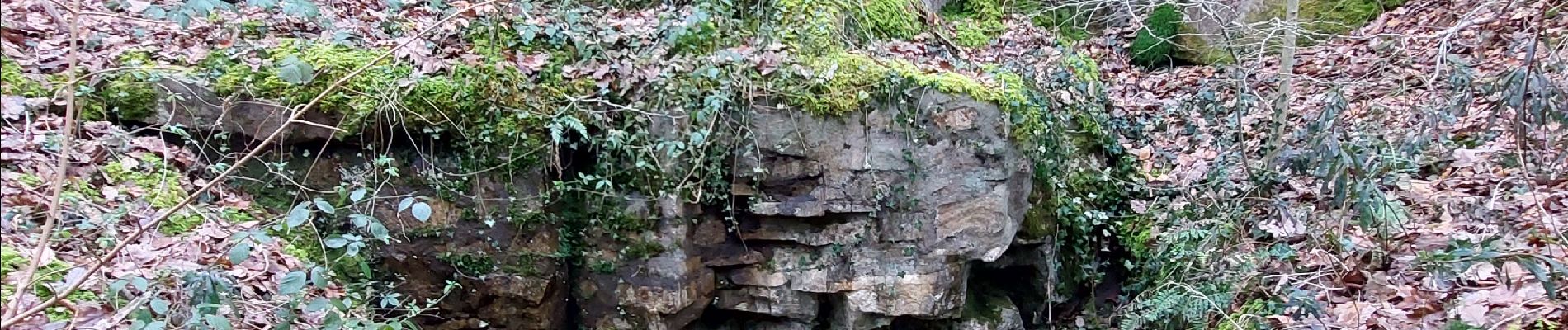 Tour Wandern Fontainebleau - Belle Croix  - Photo