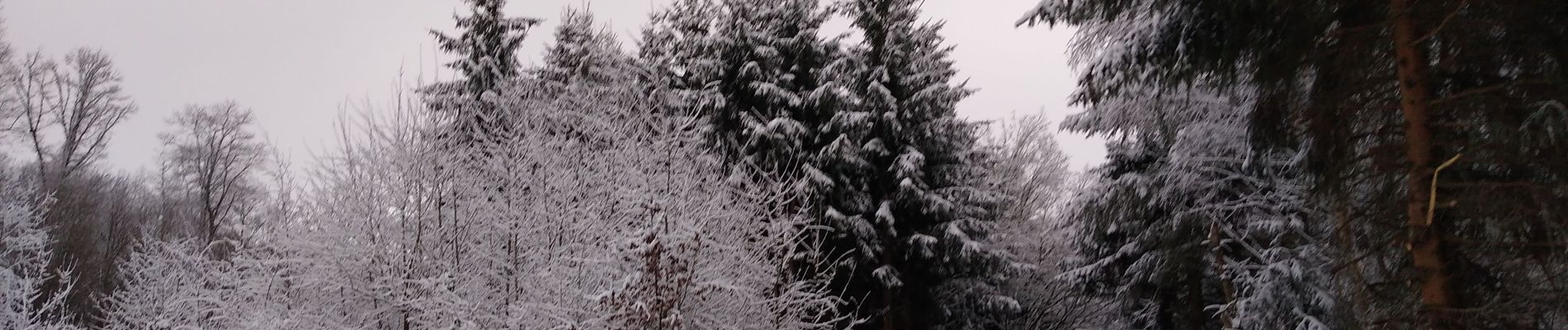 Trail Walking Arches - hiver janvier 2021 - Photo