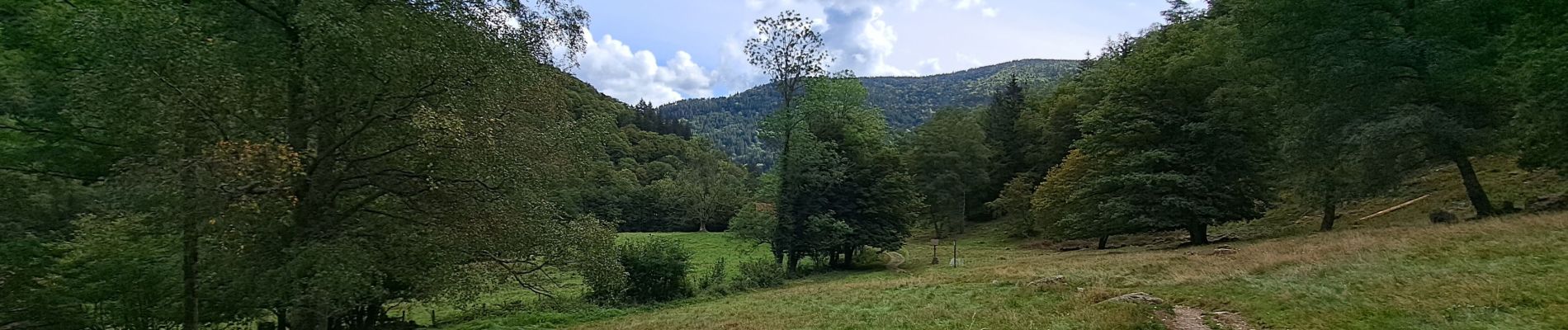 Tour Wandern Mittlach - VOSGES 2023 - MITTLACH - Vallée de la Wormsa - Photo