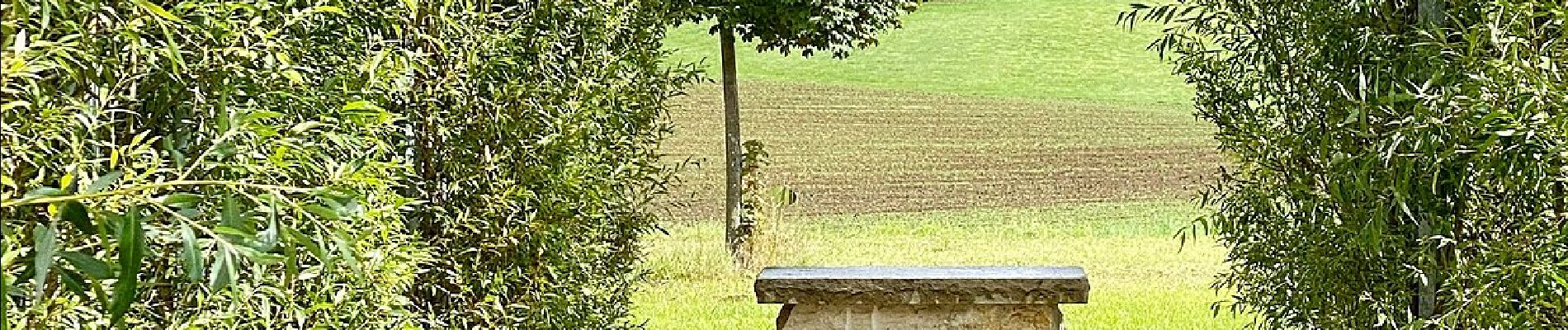 Percorso A piedi Betzenstein - Rundweg um Ottenhof - Photo