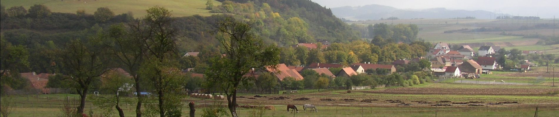 Percorso A piedi Hředle - NS Údolí ticha - Photo