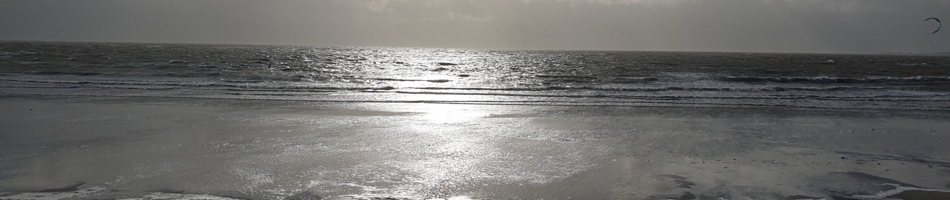 Tour Wandern Le Tour-du-Parc - bord de mer Penvis - Photo