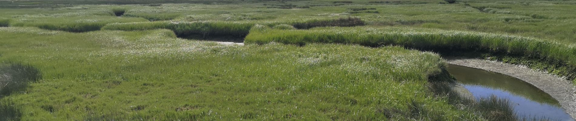 Tour Wandern Âncora - cancelo - Photo