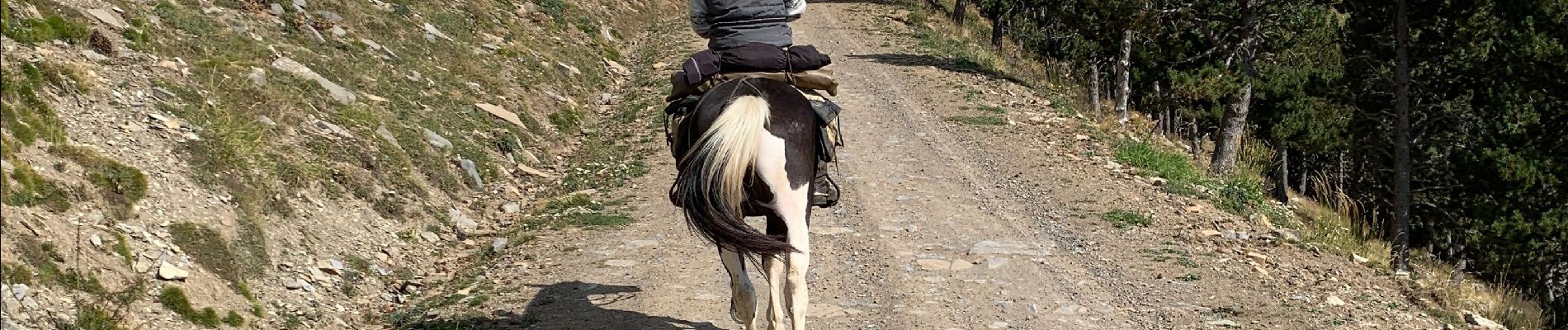 Trail Horseback riding Torla-Ordesa - Parc national d’Ordessa J2 - Photo