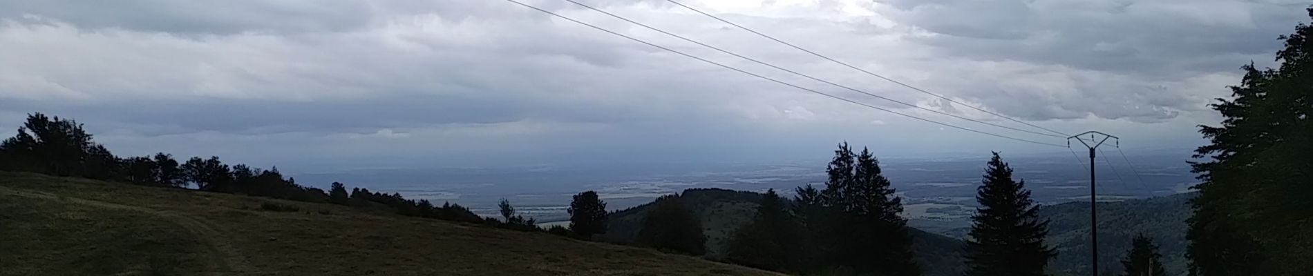 Excursión Senderismo Bourbach-le-Haut - Le sentier géologique du Rossberg - Photo