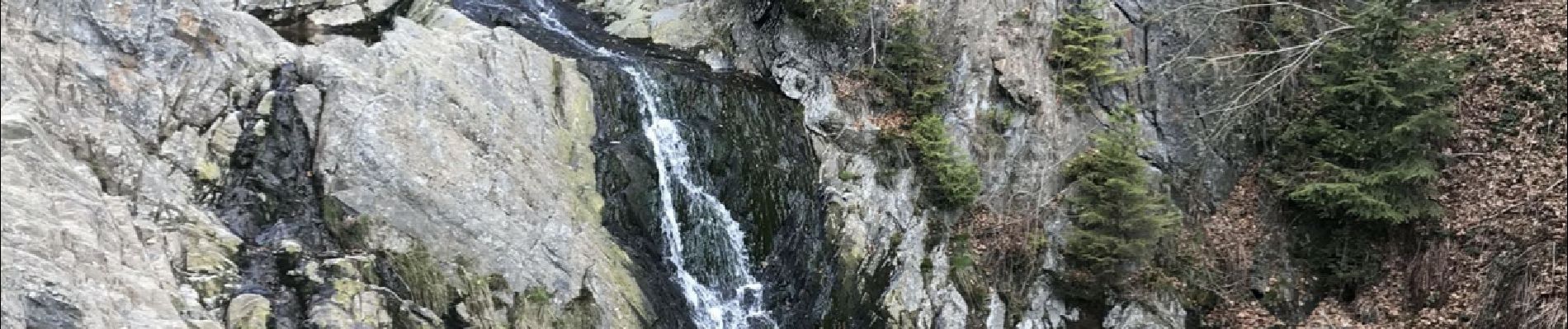 Tocht Stappen Waimes - Wandeling Peak Beer brune (new) - Photo