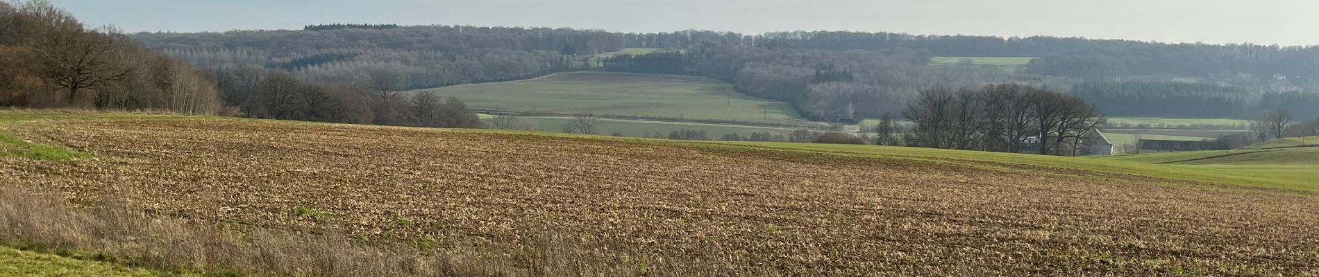 Trail On foot Gesves - Faulx-Goyet-Mozet entre Tiges et Chavées - Photo