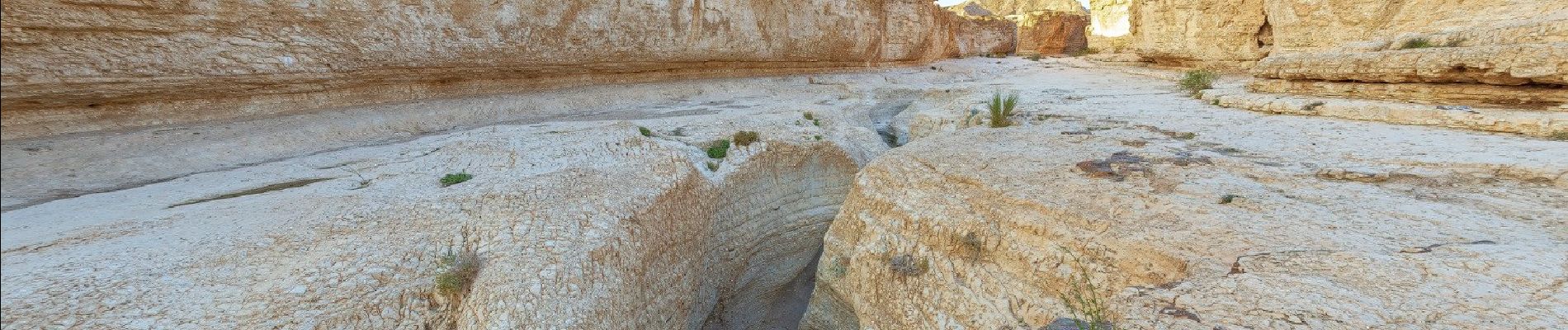 Excursión A pie מועצה אזורית תמר - IL-11535 - Photo