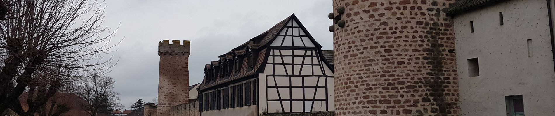 Tour Wandern Oberehnheim - Obernai - Boersch - Photo