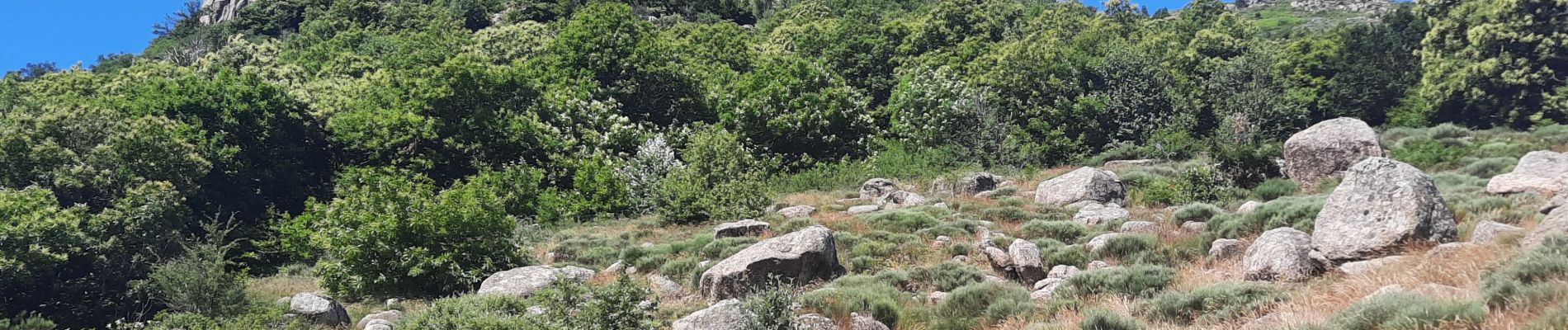 Randonnée Marche Sablières - Pont Du Mas - Boules de Gargantua 14km - Photo