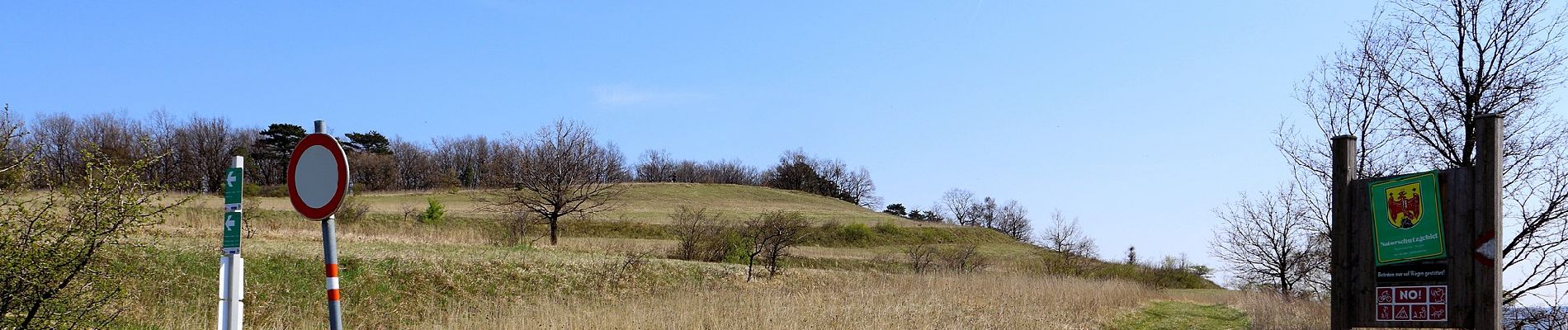 Randonnée A pied Loipersbach im Burgenland - Loipersbach - Kogel (Nordic Walking) - Photo