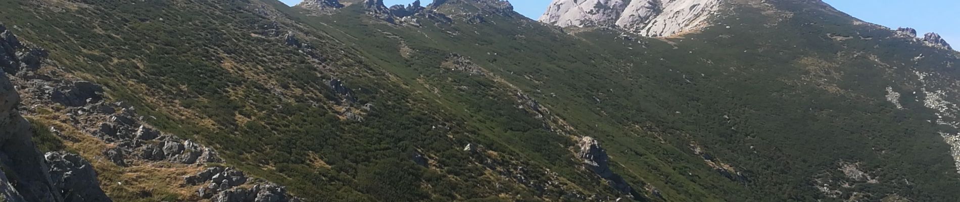 Tocht Stappen Bocognano - Palmentu et crête de pointe Orient - Photo