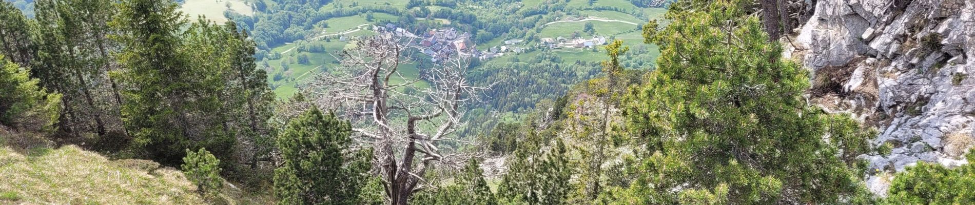 Excursión Senderismo Aillon-le-Jeune - 260523 Boucle Colombier d'Aillon - Photo