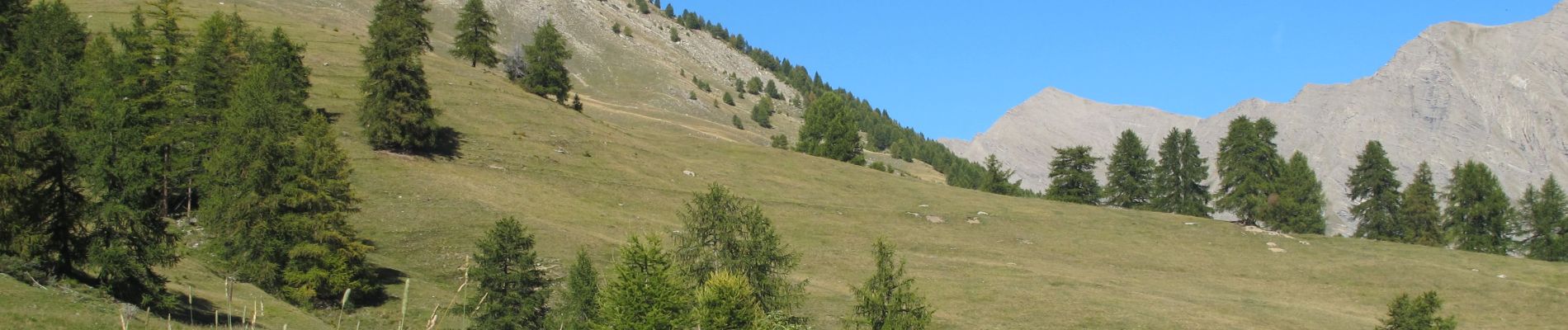 Tour Wandern La Condamine-Châtelard - tête de Crouès - Photo