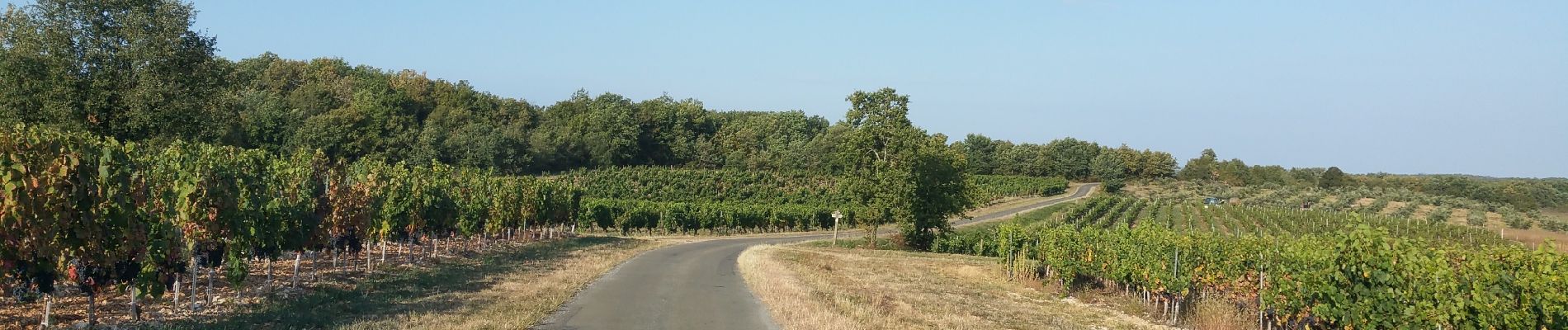 Excursión Cicloturismo Mauroux - Mauroux, Puy l'évêque - Photo