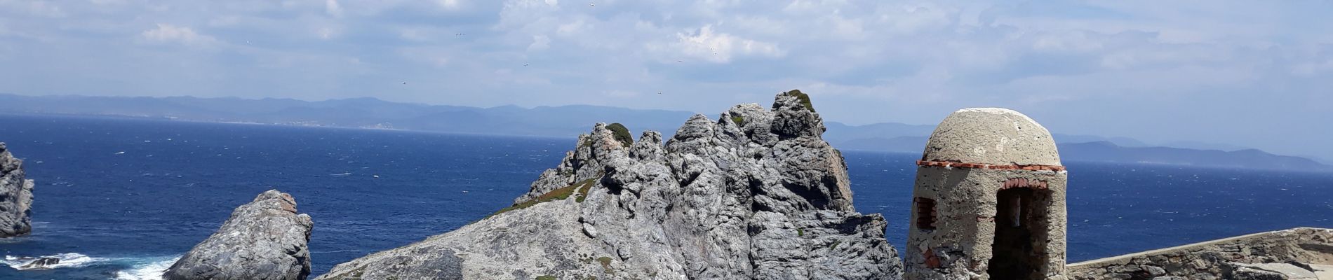 Tour Wandern Hyères - Porquerolle 2 - Photo