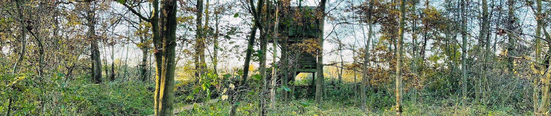 Tour Wandern Mechelen - La réserve naturelle Mechels Broek à Muizen (petite) - Photo