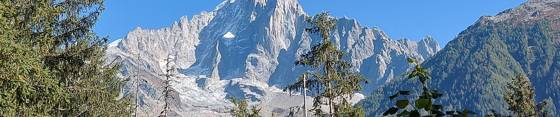 Randonnée Marche Chamonix-Mont-Blanc - 20231007 Chamonix Les Praz Balcon Sud - Photo