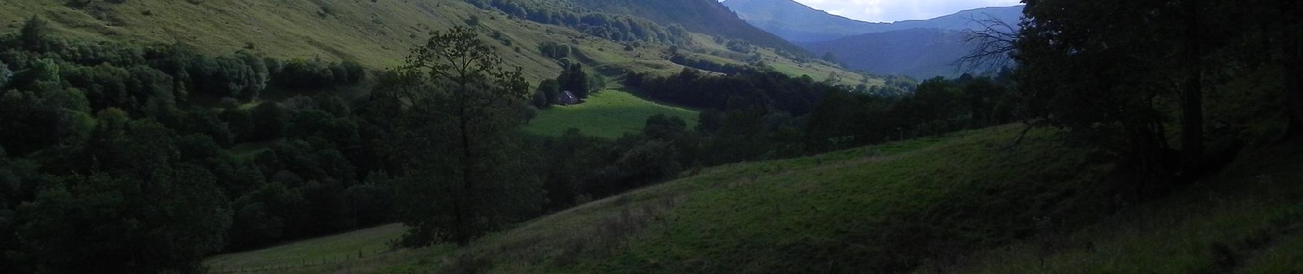 Tocht Te voet Lavigerie - La Vallée de l'Impradine - Photo