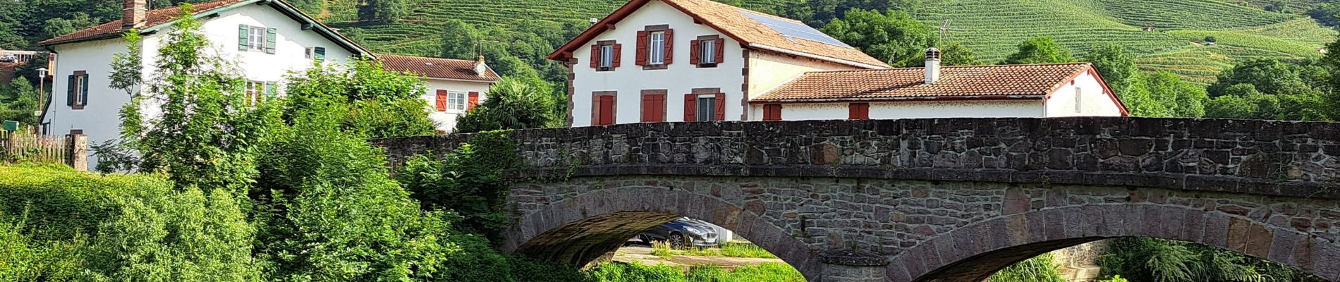 Trail Walking Saint-Jean-Pied-de-Port - vignoble Irouleguy - Ispoure - Photo