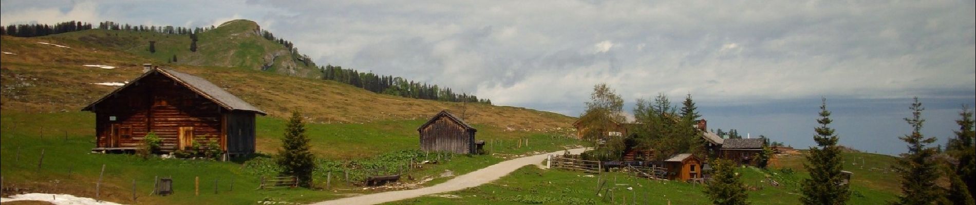 Percorso A piedi Strobl - Postalm Rundweg 3 - Photo