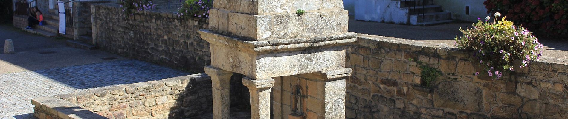 Tour Zu Fuß Sainte-Hélène - Entre bois et landes - Photo