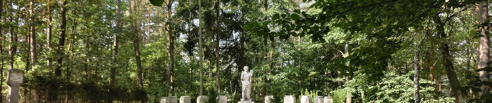 Percorso A piedi Falkenberg - Falkenberg Rundwanderweg 2 - Photo