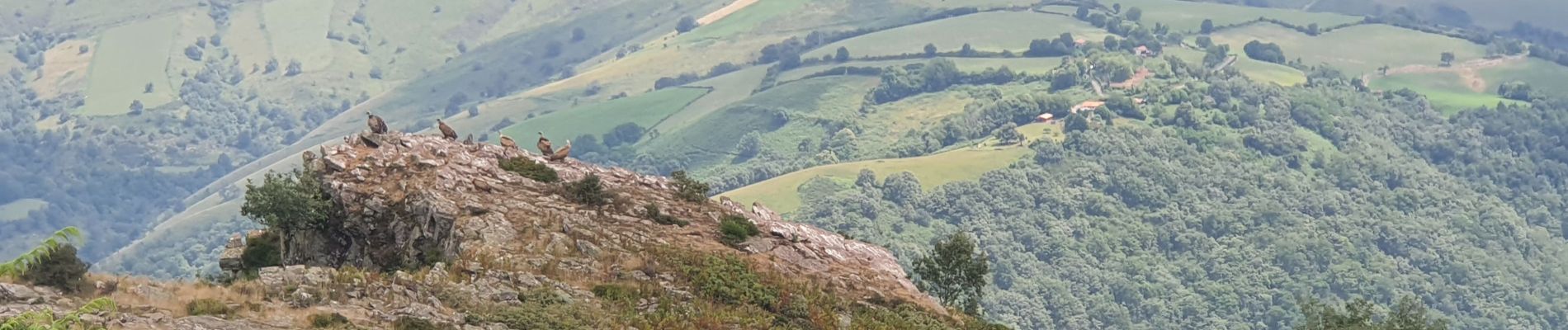 Tour Wandern Irouléguy - Irouleguy le Jara - Photo