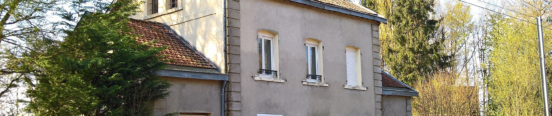 Randonnée A pied Bacouel-sur-Selle - Le Parcours du Chevreuil - Photo