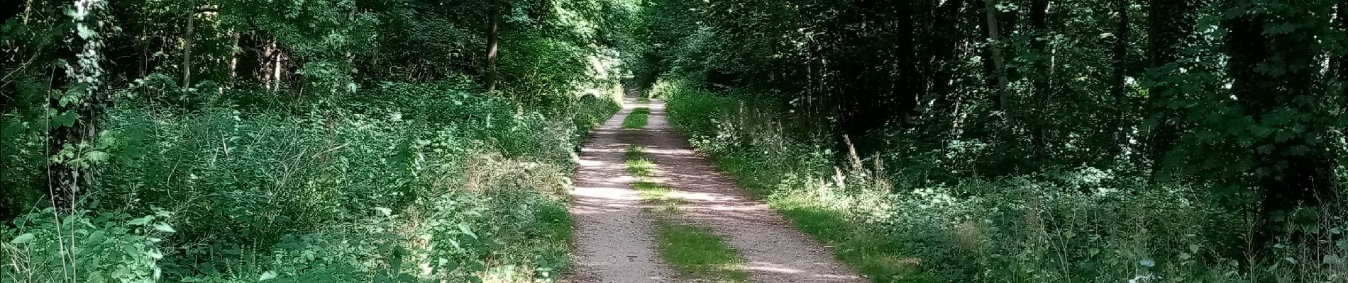 Randonnée Marche nordique Saint-Ghislain - Baudour canette de cuivre.  - Photo