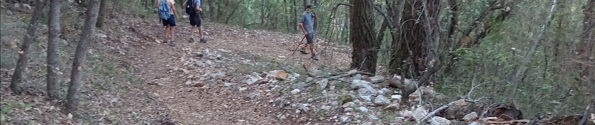 Excursión Senderismo Roquefort-les-Pins - la grotte de la chèvre d'or depuis la Colle sur loup  - Photo