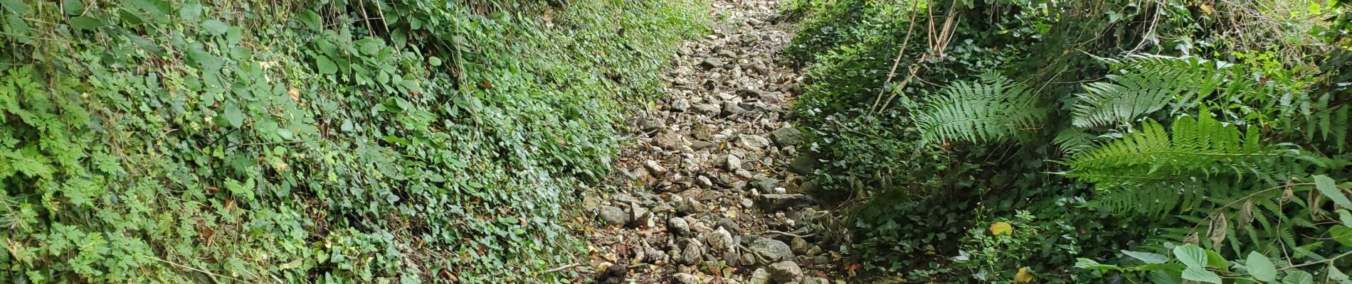 Excursión Bici eléctrica Prévinquières - previnquieres rieupeyroux - Photo