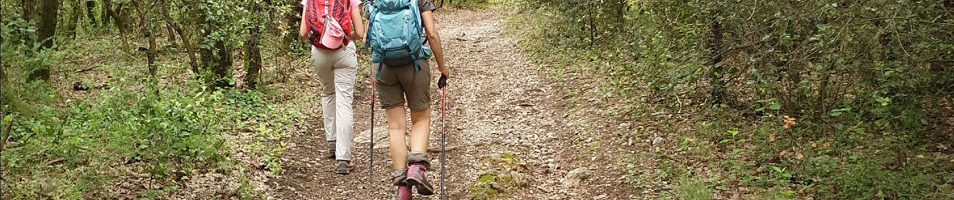 Tour Wandern Pourrières - le mont Aurélien - Photo