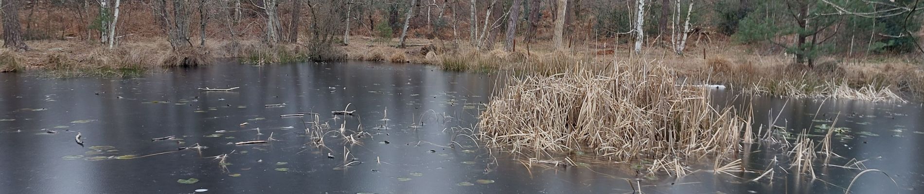 Punto di interesse Fontainebleau - Unnamed POI - Photo