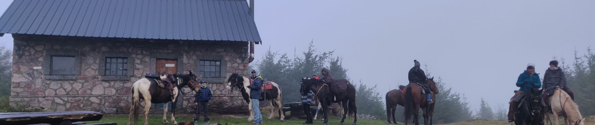 Tocht Paardrijden Aubure - 2019-11-02 WE Aubure Brezouard - Photo