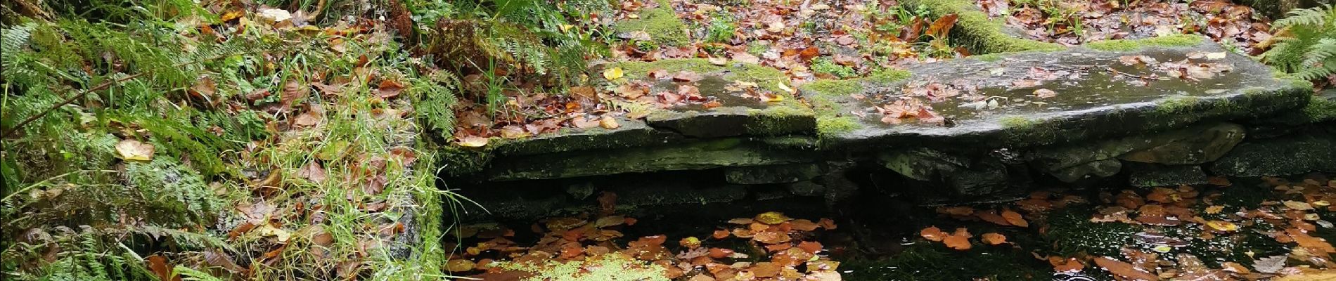 Trail Walking Sizun - st cadou les carrieres - Photo