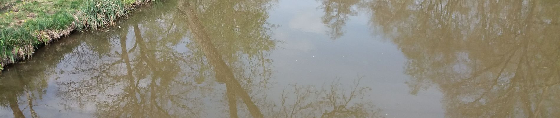 Tour Wandern Seur - seur fougères sur bievre - Photo