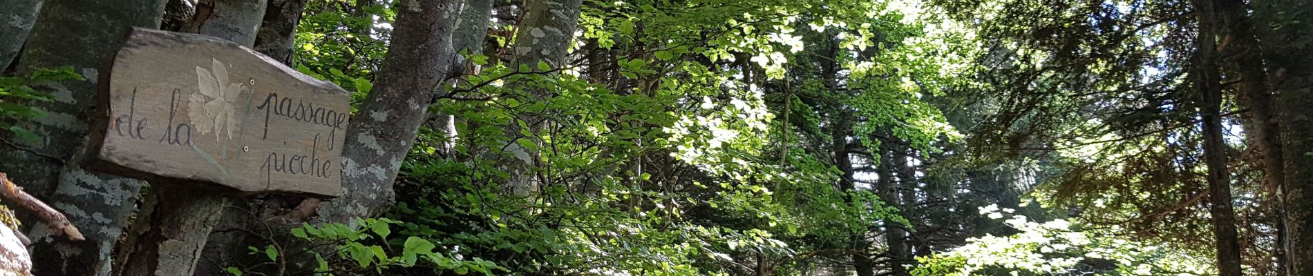 Excursión Senderismo Engins - Charande par le Pas de La Lose et le Pas du Follet - Photo