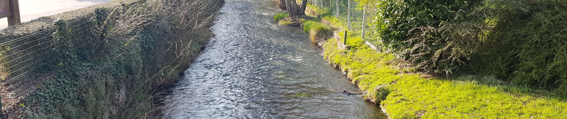 Excursión Senderismo Fresnoy-la-Rivière - Fresnoy-la-Rivière - Photo